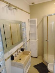 a bathroom with a sink and a shower at Casa calle San José in Gualeguaychú