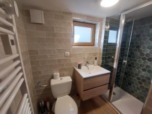 a bathroom with a toilet and a sink and a shower at Au petit hameau - Votre gîte nature et paisible près du gouffre de Cabrespine in Cabrespine +6 photos