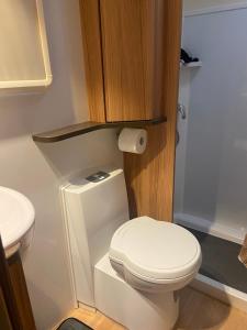 a bathroom with a white toilet and a sink at Cefn Farm - Hyssington Heights in Hyssington