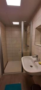 a bathroom with a shower and a sink at Ziegfried#Ziegenhof in Radebeul