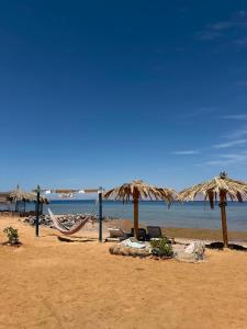 a beach with chairs and umbrellas and the ocean at Moon Dune Camp in Nuweiba