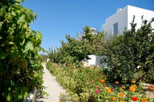 a garden with flowers and a building in the background at Flora & Agelos Studios - Paros in Chrissi Akti