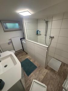 a bathroom with a shower and a sink and a toilet at Small 45 M² Apartment in Bad Kreuznach +8 photos