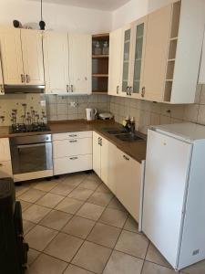 a kitchen with white cabinets and a white refrigerator at Soča Kayaker in Čezsoča