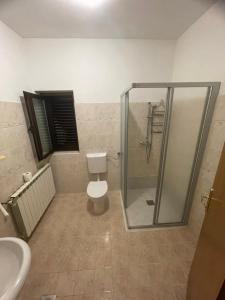a bathroom with a shower and a toilet and a sink at Soča Kayaker in Čezsoča