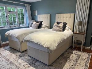 two beds in a bedroom with blue walls and windows at Heydon Private Guest Suite Self Check-in & Parking in Heydon