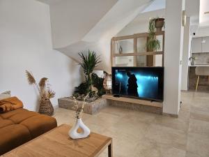 a living room with a tv and a couch at Villa Elementa Krk - Luxury Four Elements Experience in Krk