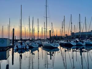 a group of boats are docked in a harbor at Voilier Miraflores in Cherbourg en Cotentin