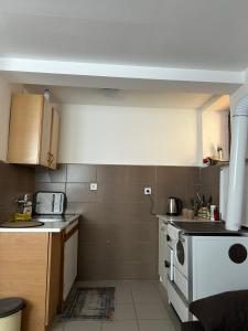 a small kitchen with a stove and a sink at Stan na dan Čajniče in Čajniče
