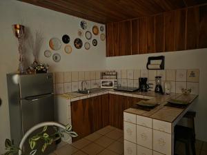 a kitchen with a refrigerator and a counter top at Apartamento Rustico in Fortuna