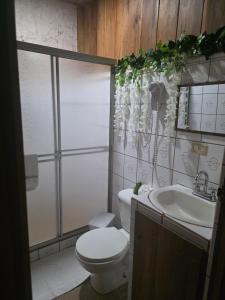 a bathroom with a toilet and a sink at Apartamento Rustico in Fortuna