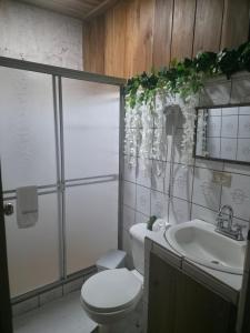 a bathroom with a toilet and a sink at Apartamento Rustico in Fortuna