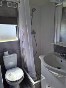 a small bathroom with a toilet and a sink at Mobilhome empl 28 in Saint-Martin-aux-Buneaux +6 photos