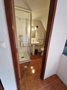 a bathroom with a shower and a toilet and a sink at Carneiro Country Houses Casa das Batatas in Amarante +16 photos