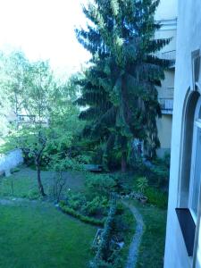 Um jardim no exterior de Wohnzimmer