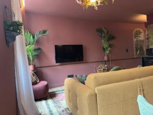 a living room with a couch and a tv on a pink wall at LE PORTO RICO, Hypercenter, Air conditioning in Mâcon