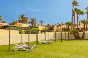 a group of lounge chairs on the grass near a building at Blue Río Playa, Casa & Studio in Costa Calma