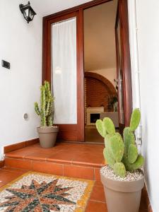 a hallway with two potted plants and a door at Residenza Vittoria nell'Antico Borgo in Piombino