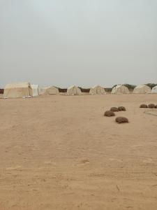 Gallery image of Campement Sahara Oasis Douz in Douz