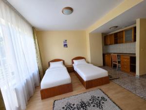 two beds in a small room with a kitchen at Pensiune Excelenta in Vermeşti