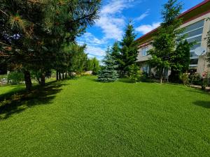 a green yard with trees and a building at Pensiune Excelenta in Vermeşti