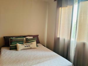 a bed with a pillow on it with a window at Departamento Centrico Iguazu 2B in Puerto Iguazú