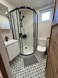 a bathroom with a shower and a toilet at Dimantu nami in Upesgrīva