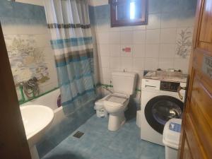 a bathroom with a toilet a sink and a washing machine at Xrysanthi's dream house in Zagora +68 photos