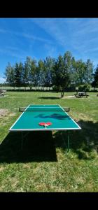 a ping pong table in the middle of a field at Bylew Zacisze in Licheń Stary