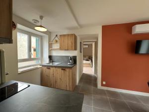 a kitchen with orange walls and a counter top at Résidence le 1564 Terracotta in Roussillon en Isere