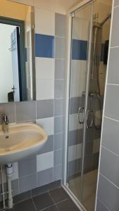 a bathroom with a sink and a shower at L'hostellerie de la vallée in Gimel
