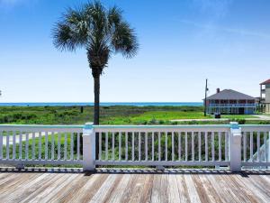 a porch with a white fence and a palm tree at Pelicans and Palms home in Crystal Beach