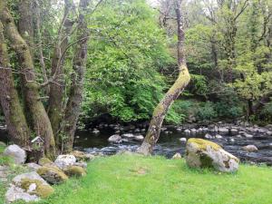 a stream with rocks and trees and a river with trees at The Mews Suskar in Glendarragh