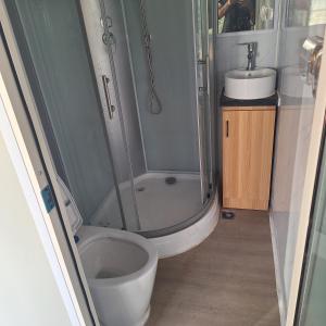 ein Badezimmer mit Dusche, Toilette und Waschbecken in der Unterkunft vavane in L’Étang-Salé