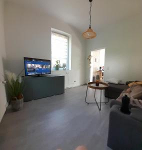 a living room with a television and a couch at Sandstein-Oase in Reinhardtsdorf