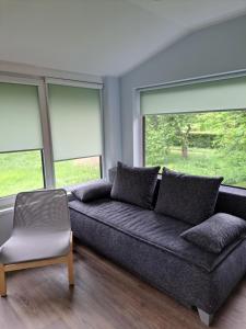 a living room with a couch and two windows at Amber in Ragaciems