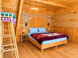 a bedroom with a bunk bed and a ladder at Kabir's Chalet Shangarh in Shangarh