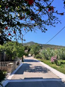 a road with mountains in the background at The Olive Studio by Yannula Studios in Kámpos
