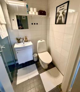 a bathroom with a toilet and a sink at Nordic Lodges in Malmö +23 photos