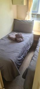 a bed in a bedroom with a pillow and a window at 19 Vale Park in Fishguard +1 photo
