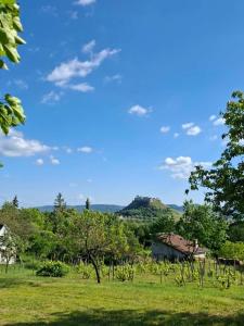 a field with trees and a hill in the distance at Panoráma Vendégház in Sümeg
