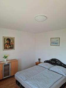 a bedroom with a bed and a television in it at Panoráma Vendégház in Sümeg