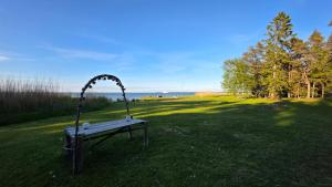 a bench in the grass in a field at LuigeLaguun in Triigi +16 photos