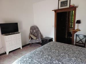 a bedroom with a bed and a tv and a chair at La petite Salamandre bleue in La Croisille-sur-Briance