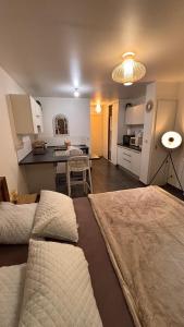 a living room with a bed and a kitchen at Studio à Sainte-Marie Studio Calme-Bord de mer avec Piscine in Sainte-Marie +11 photos