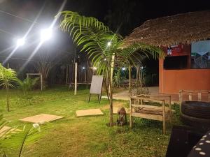 eine Palme in einem Hof bei Nacht in der Unterkunft Jedd Palace in Kpannou + 6 Fotos