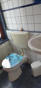 a bathroom with a toilet with blue paint on it at Ferienwohnung in Walsrode