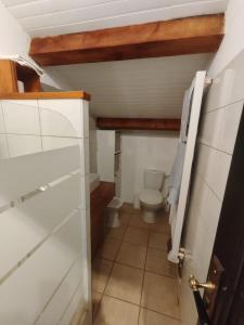 a small bathroom with a toilet in a room at Los jardines de Osseja in Osséja +14 photos