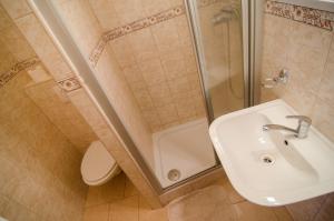 a bathroom with a sink and a shower and a toilet at Maxova Bouda in Josefŭv Dŭl +24 photos