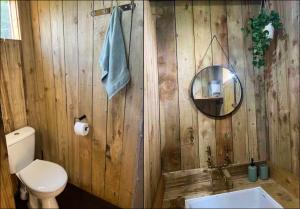a wooden bathroom with a toilet and a mirror at Roden Retreat in Aston